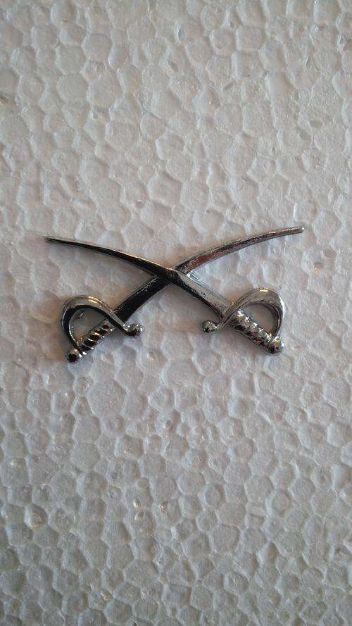 Asst. PTI Profiency Badge