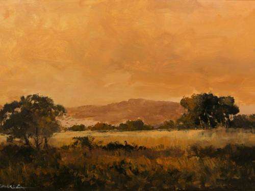 WOW!! STUNNING FRAMED OIL BY FAMOUS SA ARTIST MAURO CHIARLA (Value R10 000)