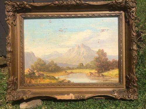 LANDSCAPE OIL BY SA ARTIST S WEBBER!!