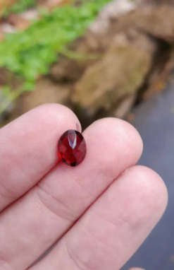 Natural 1.01 Ct Red Garnet