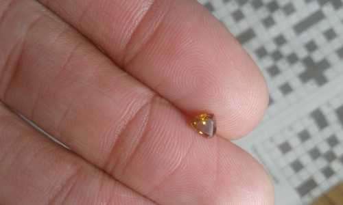 Natural Rare 0.25 Ct Orange Brown Diamond