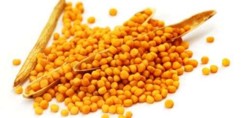 HERBS - YELLOW MUSTARD SEEDS - 20 seeds