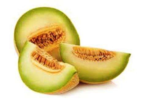 HONEYDEW (Muskmelon) - GREEN MELON SEEDS - 10 seeds