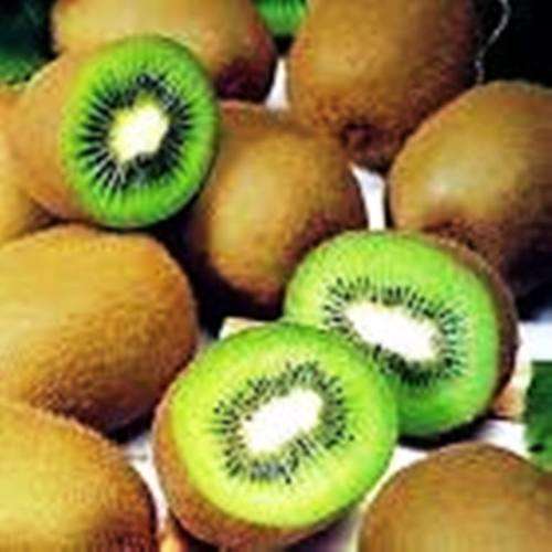 KIWI FRUIT - 10 seeds