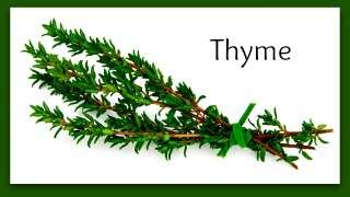 HERBS - THYME - 15 SEEDS