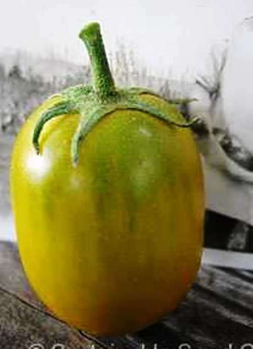 TOMATOES - GREEN GRAPE - 10 SEEDS