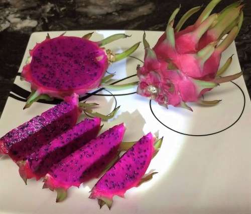 EXOTIC - PURPLE DRAGON FRUIT SEEDS - 10 SEEDS