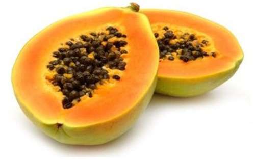 PAW PAW SEEDS - 20 seeds