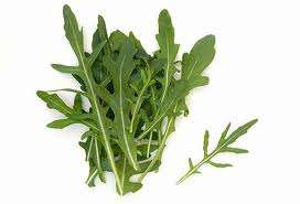 SALAD GREENS - HERBS -  ROCKET  SEED PACK