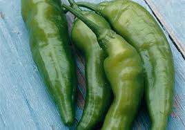 "CHIPOTLE" CHILLI SEEDS