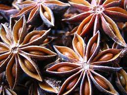 STAR ANISE SEEDS