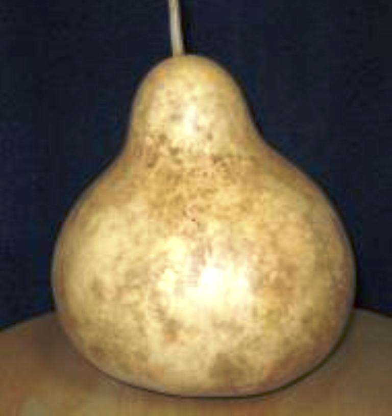 GOURDS - CHINESE KETTLE GOURD SEEDS - 10 seeds