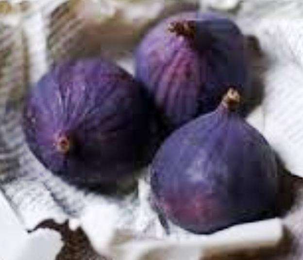 Ronde De Bordeaux`Blue  Fig   - 10  Seeds