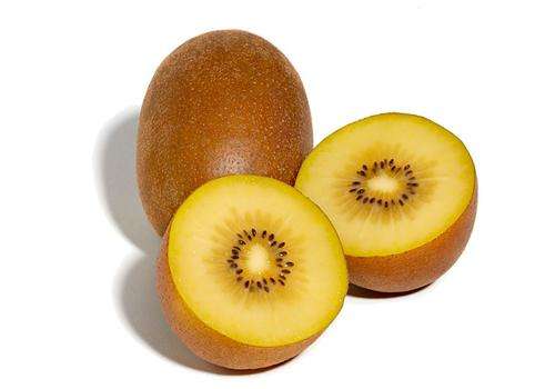 EXOTIC FRUIT  -  GOLDEN KIWI SEEDS