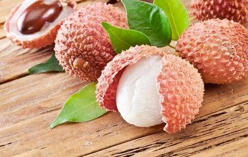 LYCHEE SEEDS - Litchi chinensis