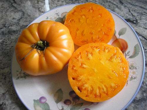 TOMATO VARIETIES -  PERSIMMON TOMATO SEEDS