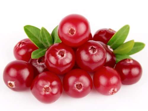 BERRIES - CRANBERRY SEEDS (10 seeds)