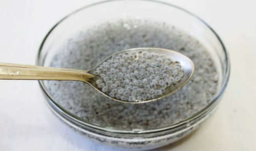 SUBJA / TUKMARIA SEEDS - 100 Seeds