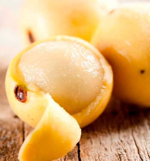 MORULA / MAROELA  Seeds -  exotic - 5 seeds