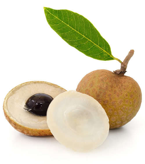 LONGAN / "DRAGON'S EYE" (Dimocarpus longan) - 10 SEEDS
