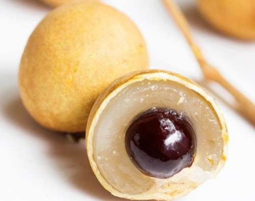 LONGAN / "DRAGON'S EYE" (Dimocarpus longan) - 10 SEEDS