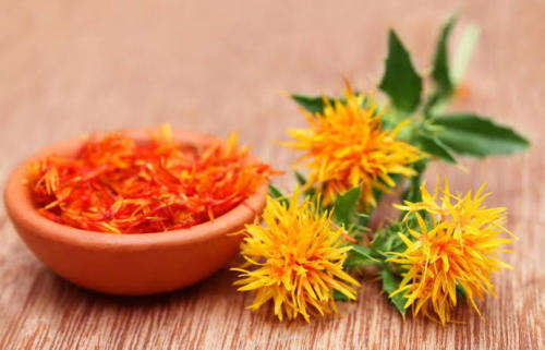 SAFFRON SUBSTITUTE - Safflower (Carthamus tinctorius) 50 SEEDS - HERB