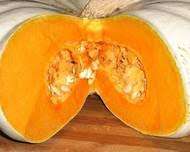 WHITE BOER PAMPOEN - 50 SEEDS-  Cucurbita maxima