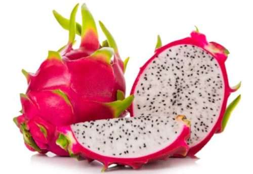 DRAGONFRUIT / PITAYA /   - 20 Seeds  -  hylocereus Undatus " PINK & WHITE