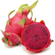 DRAGONFRUIT / PITAYA ROYA /   - 20 Seeds  - RED SKIN & RED FLESH
