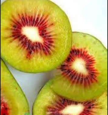 EXOTIC FRUIT  - KIWI ROSE GOLD  -  30 SEEDS