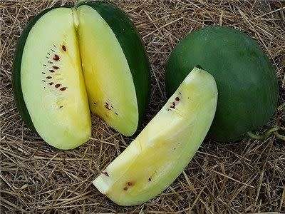 MAKATAAN /  Karkoer   -  30 Seeds  -  Used For Making Watermelon Preserve