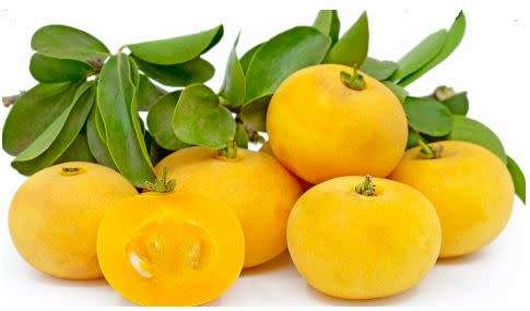 KEI APPLE /UMKOLO  -  30 SEEDS  (Dovyalis Caffra)