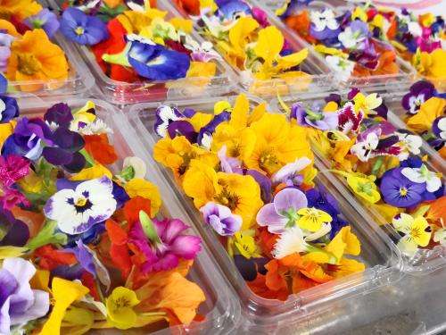 EDIBLE FLOWERS  MIX  -  30 SEEDS