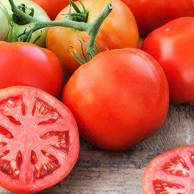 MONEYMAKER FLESH TOMATO  30 SEEDS