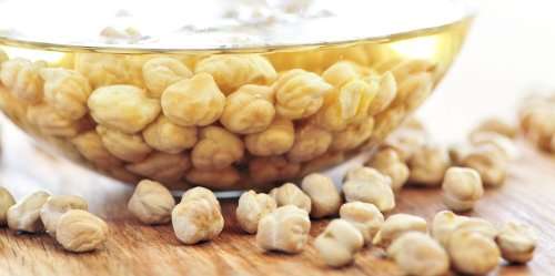 GARBANZO BEAN  /  CHICKPEA   - 30 SEEDS