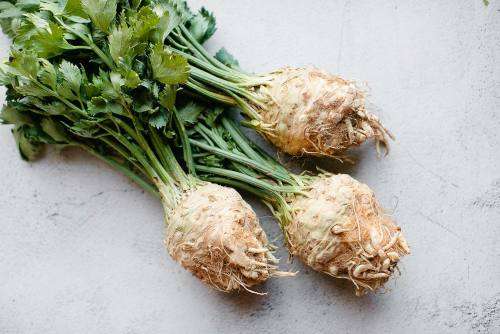 CELERIAC  'Apium Graveolens var. Rapaceum'   - 30 Seeds