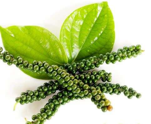 BLACK PEPPER Vine  - Piper Nigrum -  5  Seeds