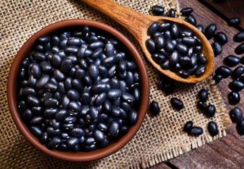 BLACK BEAN  (Phaseolus vulgaris)  -  20 SEEDS