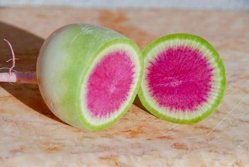 WATERMELON RADISH  -  10 SEEDS