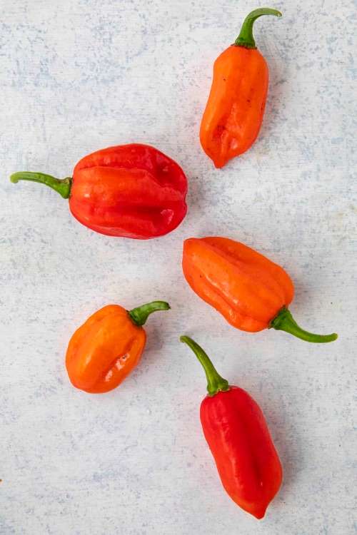 AJI DULCE MILD CARIBBEAN  CHILI PEPPERS 30 seeds - CAPSICUM