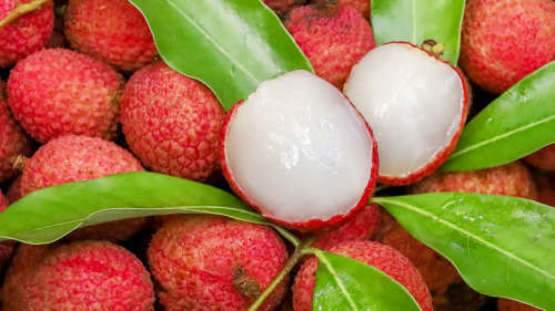 SWEETHEART LYCHEE - 5 seeds