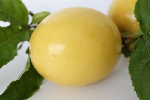 QUAVADELLA / PASSION FRUIT / PASSIFLORA EDULIS / GUAVADELLA   -   15 SEEDS