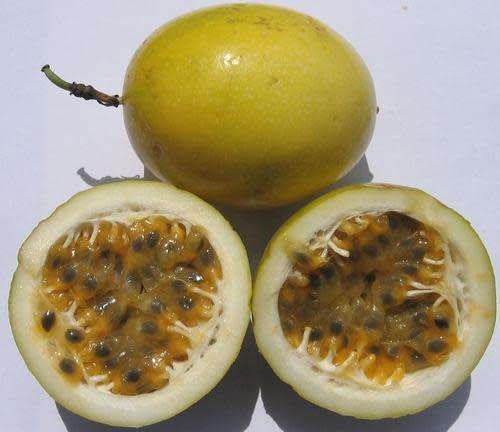 QUAVADELLA / PASSION FRUIT / PASSIFLORA EDULIS / GUAVADELLA   -   15 SEEDS