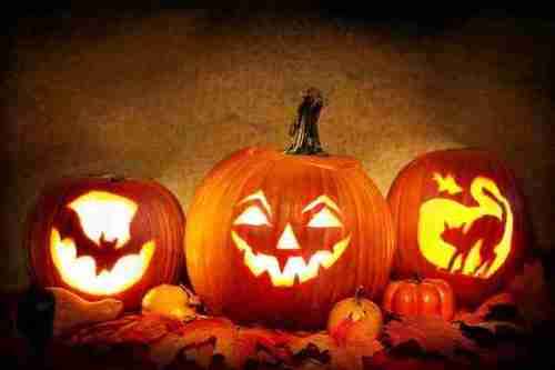JACK-o`- LANTERN  PUMPKIN SEEDS (20 SEEDS)