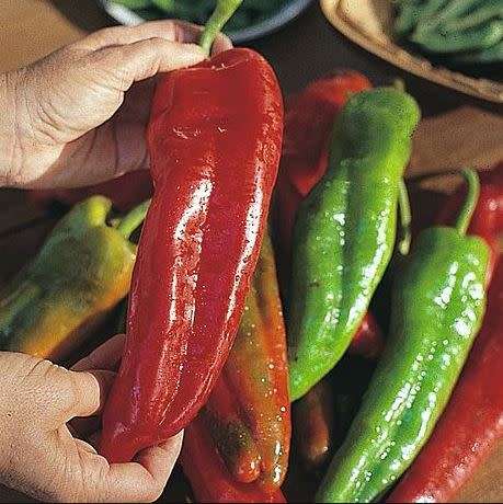SWEET PEPPER -  `BIG BANANA`  RED   -  20 seeds