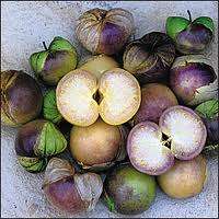 PURPLE TOMATILLO  - 30 SEEDS - HEILOOM  -  Physalis ixocarpa