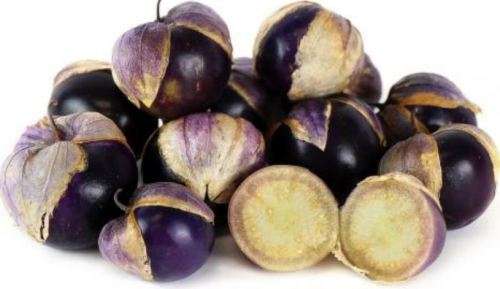 PURPLE TOMATILLO  - 30 SEEDS - HEILOOM  -  Physalis ixocarpa