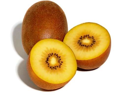 EXOTIC FRUIT  - GOLDEN KIWI  -  30 SEEDS