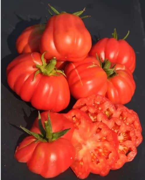 RARE TOMATO -  `CHARLIE CHAPLIN` -  30  Seeds - HEIRLOOM Indeterminate