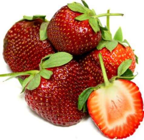 BERRIES - STRAWBERRY `CAMAROSA    30 SEEDS